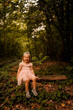 A whimsical forest scene with a sparkly tiara and pink tulle dress on a rustic wooden bench.