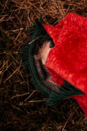 Close-up detail of a plush red velvet fabric with dark green trim against a hay background.