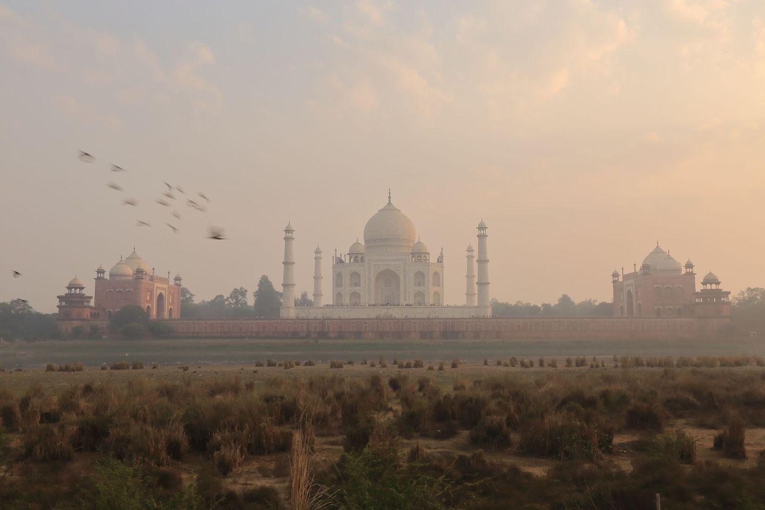 Distant view of the Taj Mahal in misty morning light with birds flying across the sky.