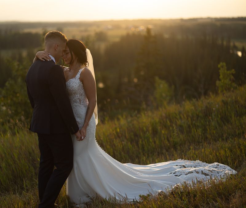 Wedding couple embraces in a sun-drenched meadow during golden hour.