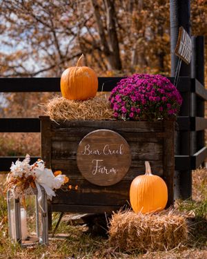 Fall wedding decor with rustic wooden crates, pumpkins, and purple mums.