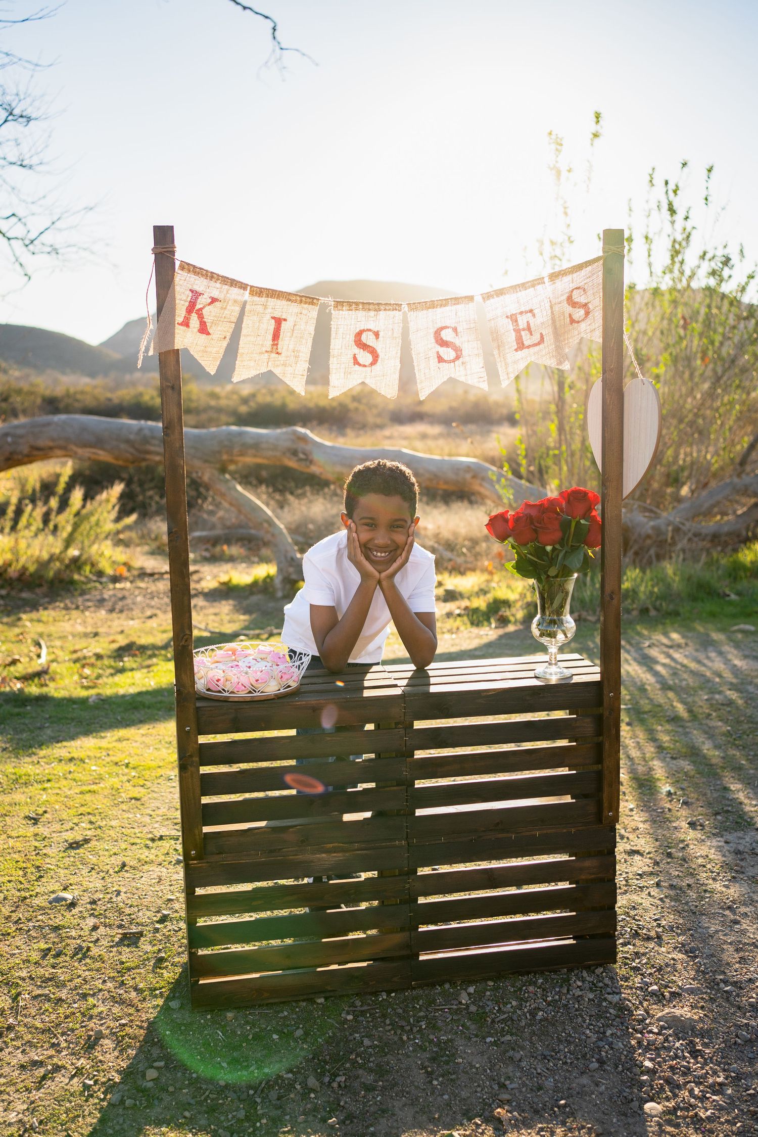 A wooden kissing booth stand decorated with a pink banner sits in a sunny desert landscape with mountains in the background.