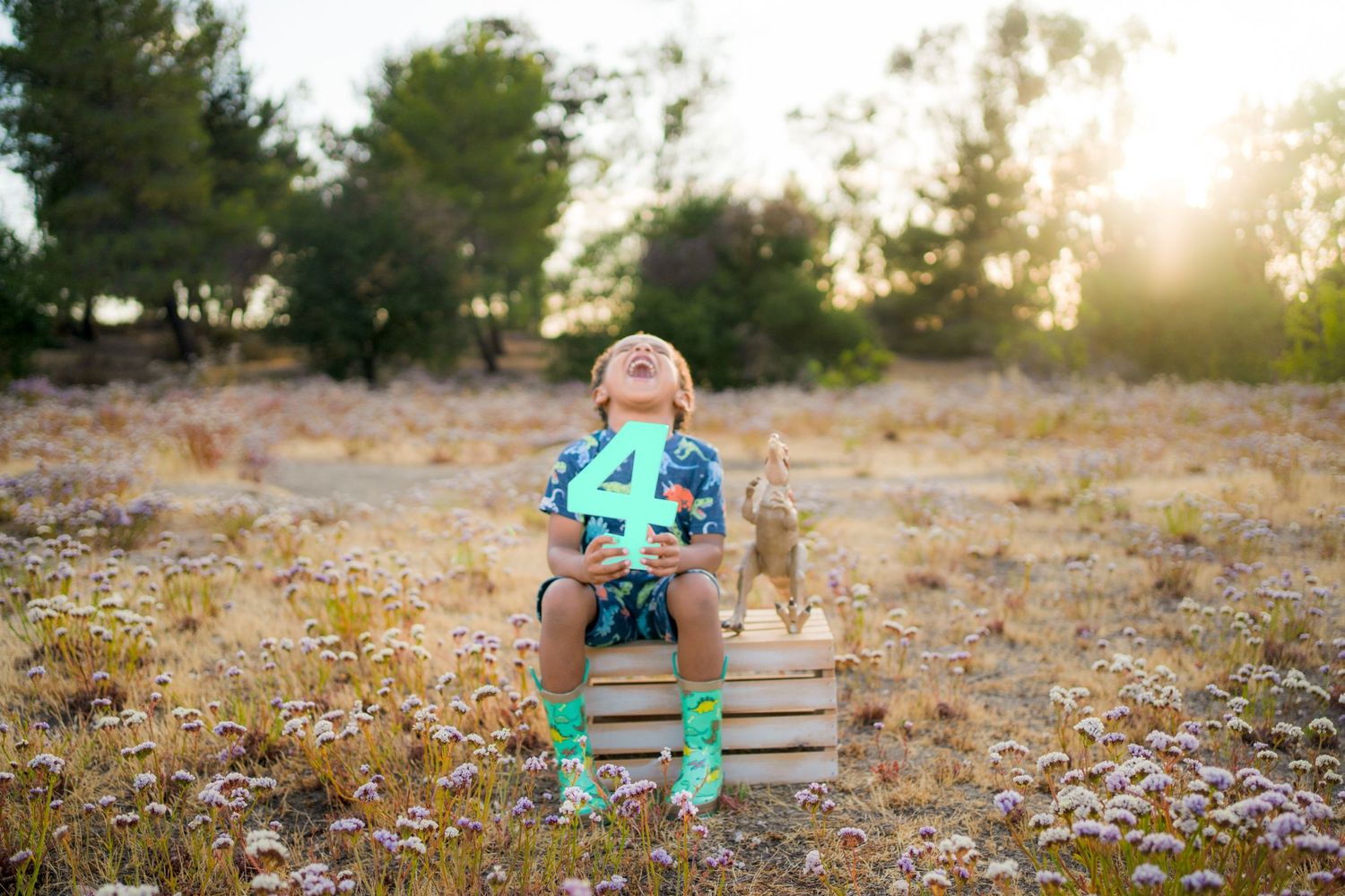 Young person sitting on a stack of books reading outdoors with a cat at sunset surrounded by wildflowers.