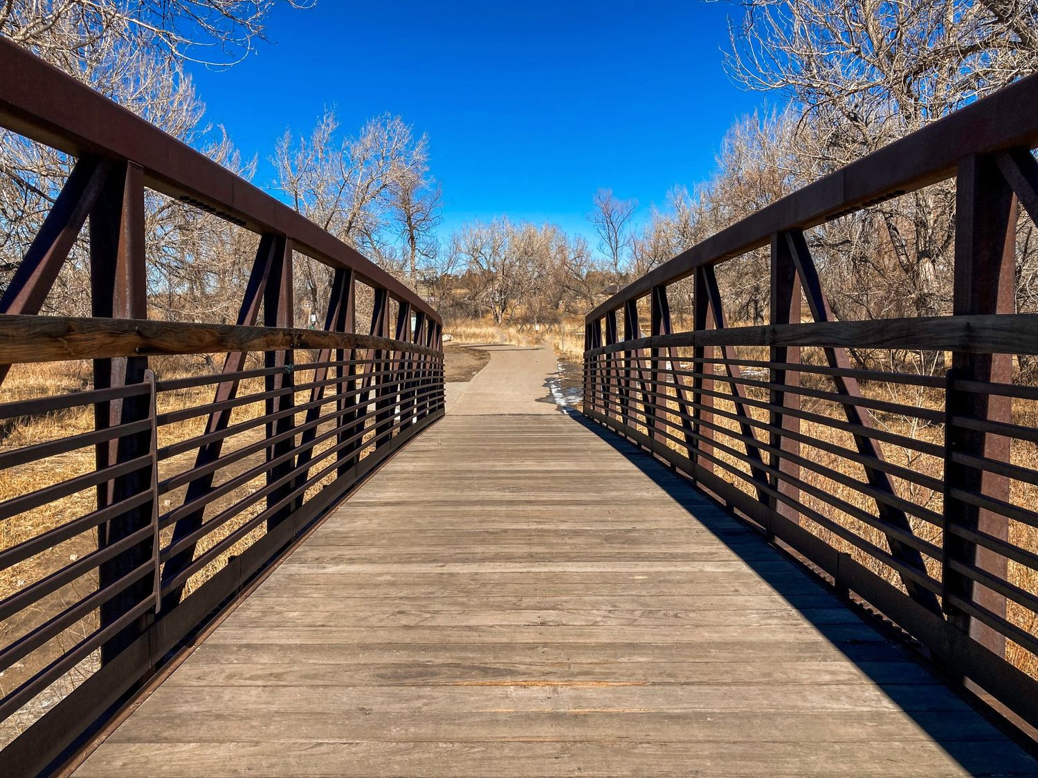 wooden bridge leading to concrete path with metal rails on either side, dry trees on either side, blue skies, bright day