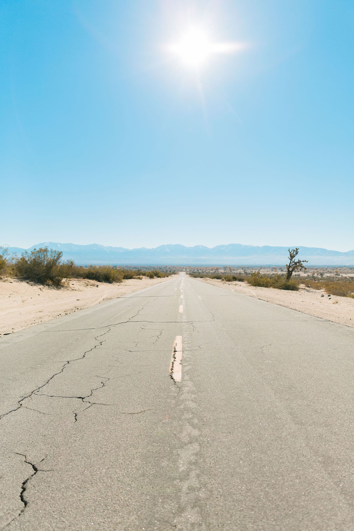 Hayley Elizabeth Wedding Photography four acres movie ranch Palmdale California desert
