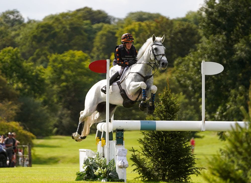 White horse and rider  jumping fence