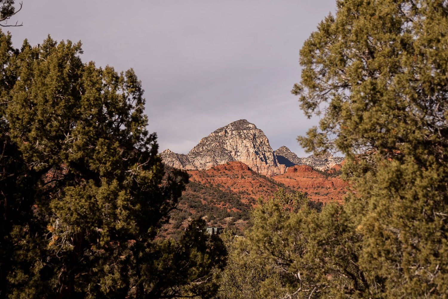 Red rock mountain peak rising above pine trees in Sedona, Arizona.