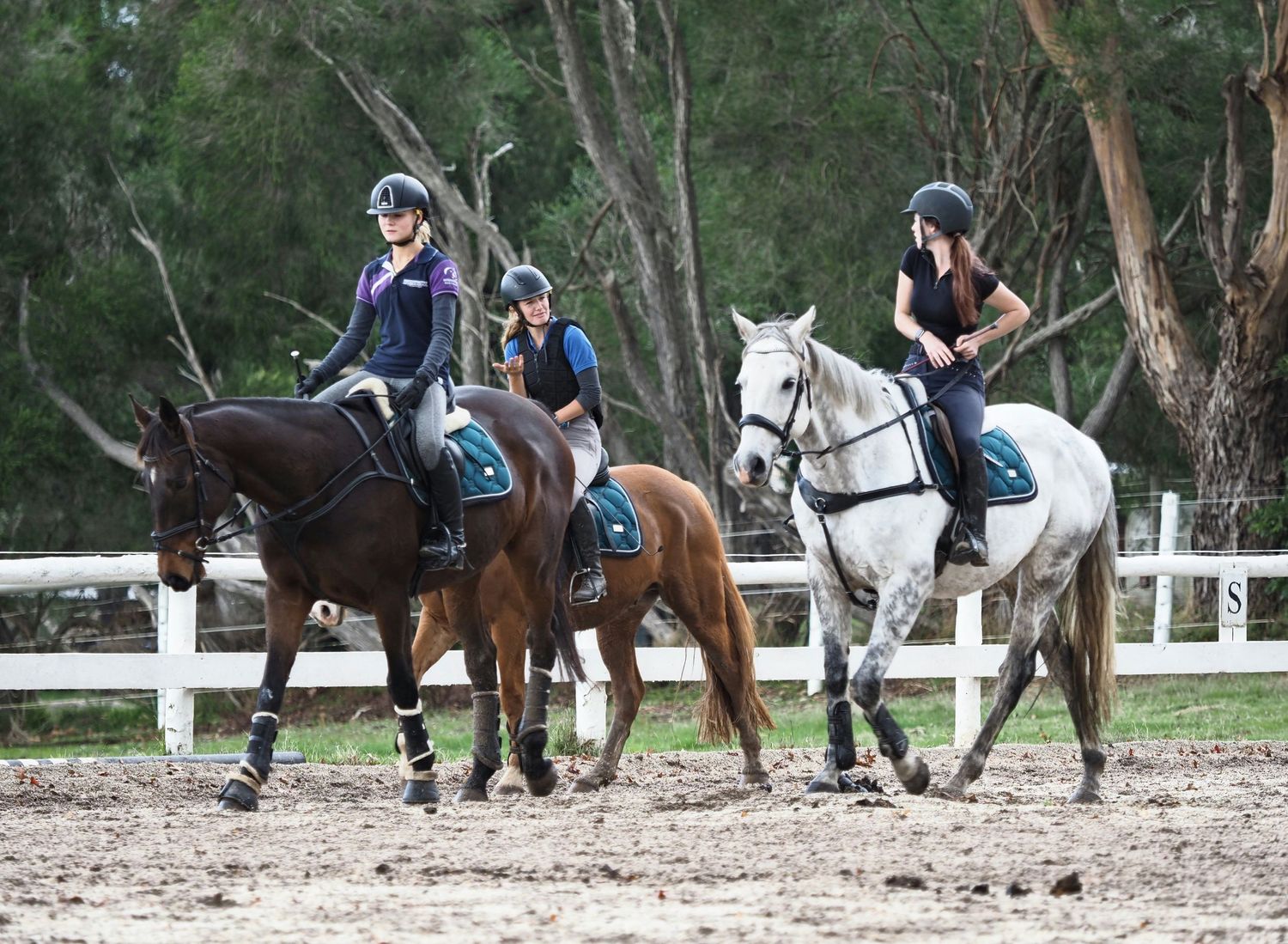 Three riders mounted on horses in riding gear line up in a sandy arena surrounded by trees and white fencing.