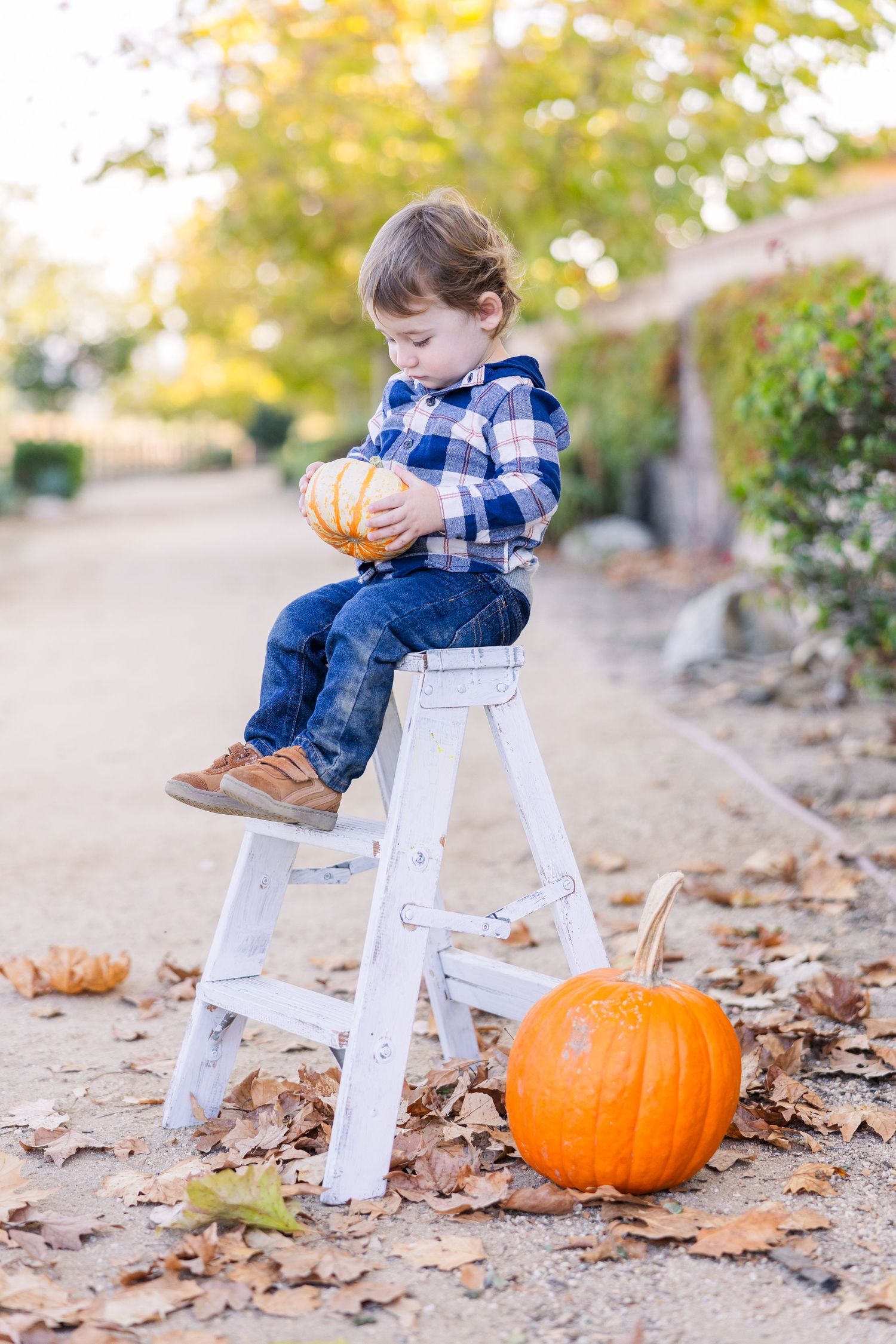 A toddler perches on a white ladder step with pumpkins on a leaf-covered autumn path.