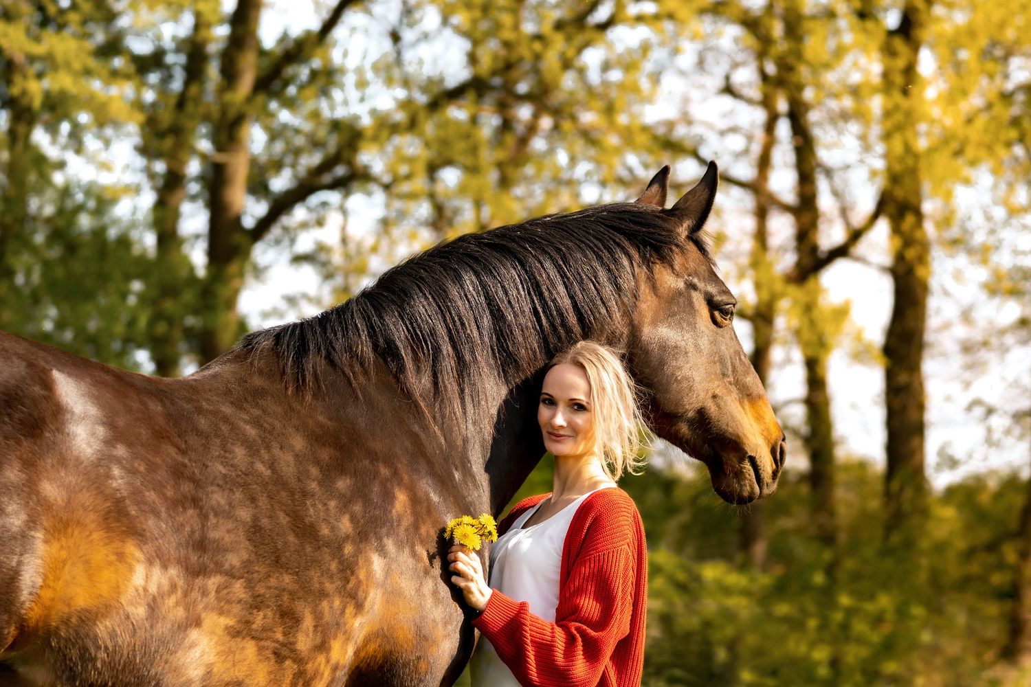 Paardvriendelijke paardenfotografie met focus op paardenwelzijn