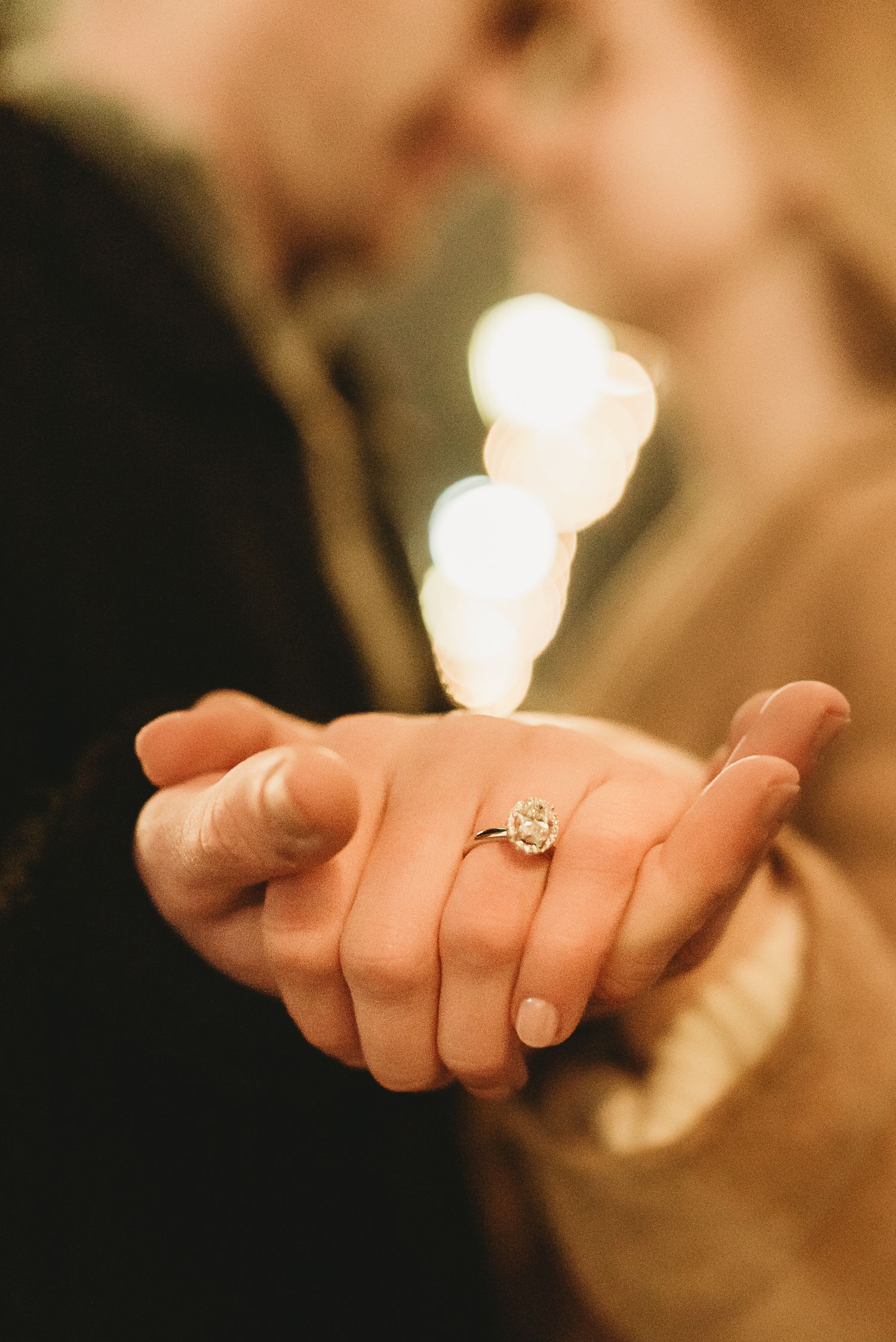 the perfect proposal in cincinnati