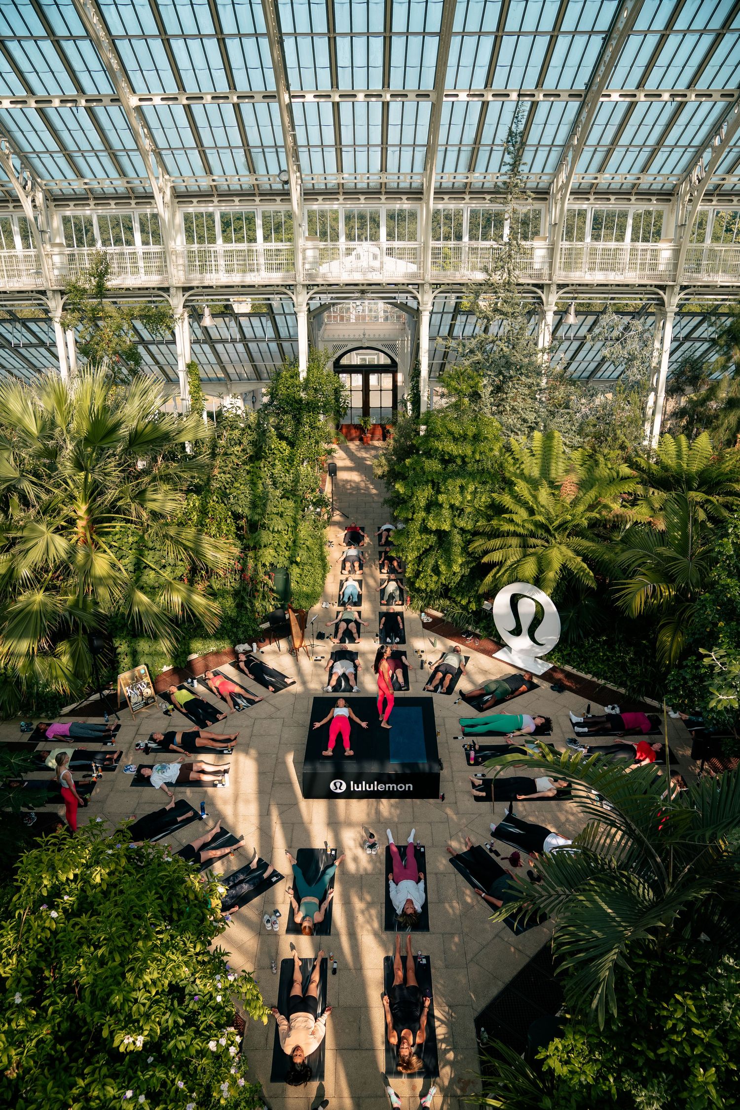 Aerial view of yoga class inside a glass conservatory filled with tropical plants.