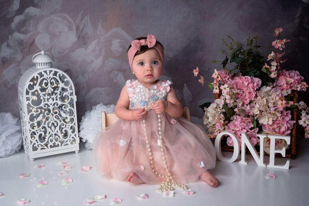 baby milestone portrait themed setup