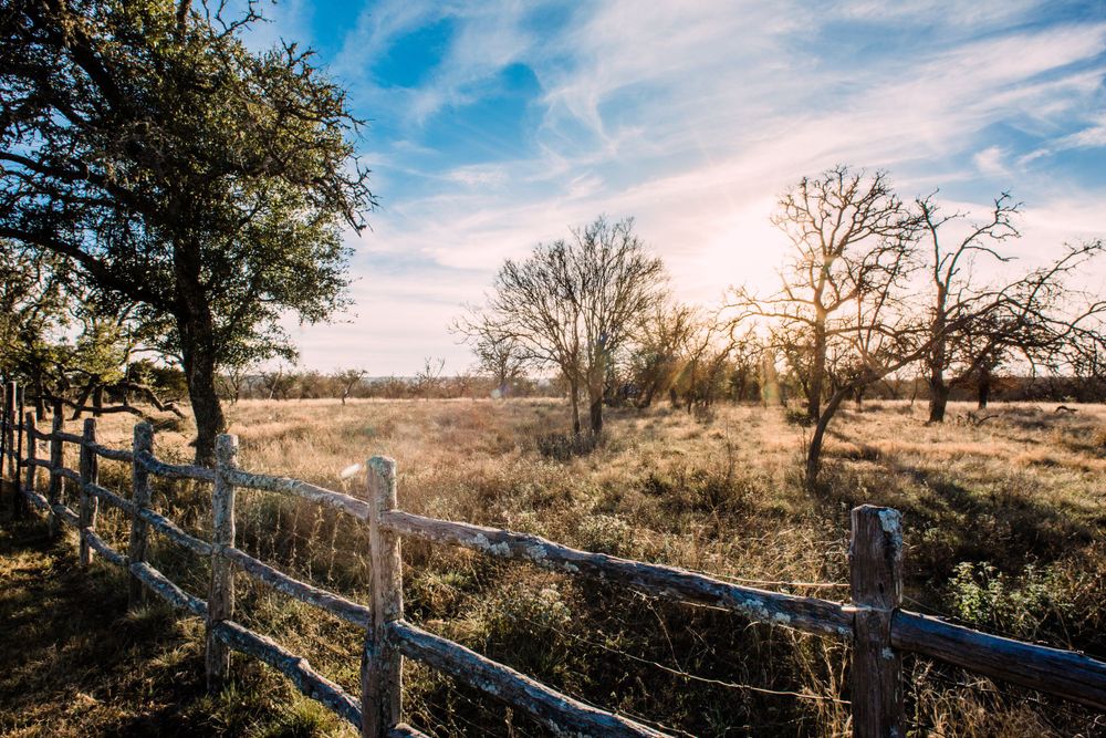Scenic view photographed while traveling