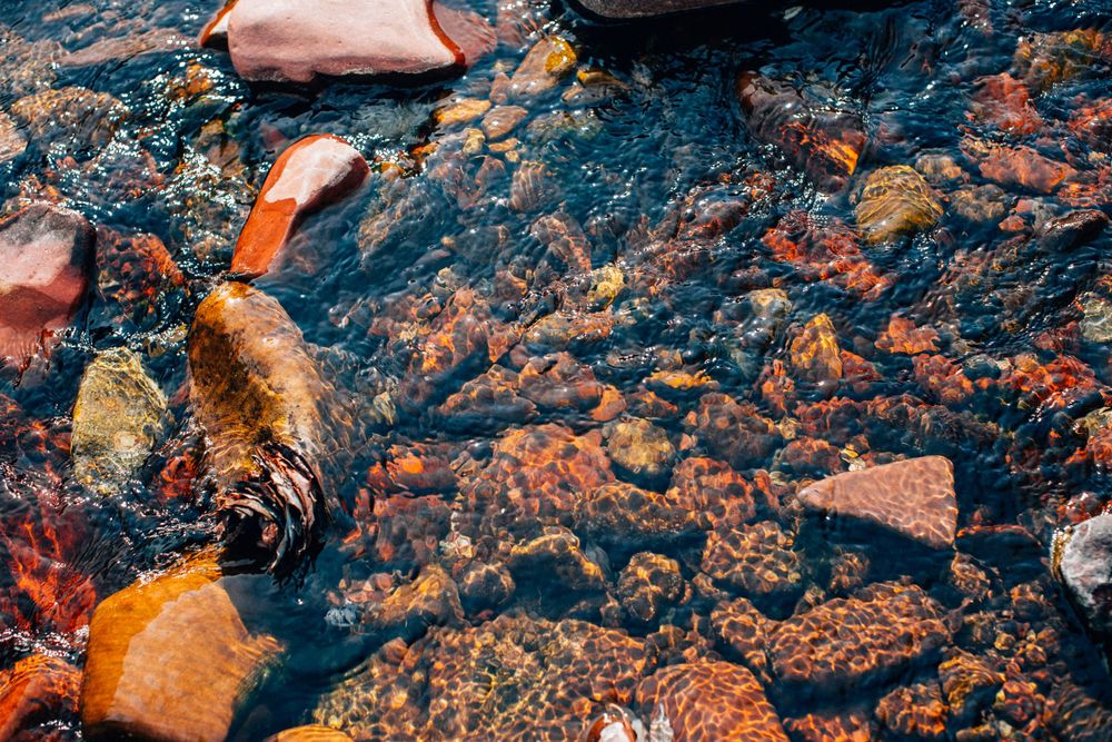 Detail-focused image emphasizing texture and composition