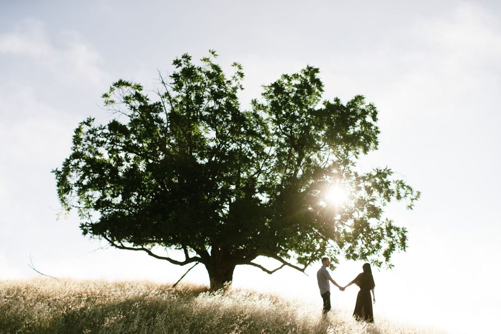 Silhouette of couple standing beneath large tree on hilltop during sunset.