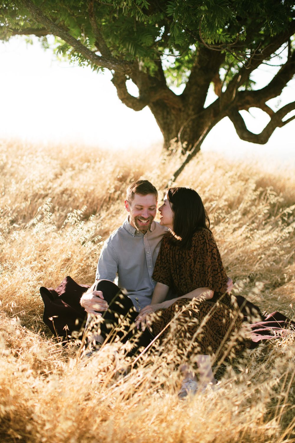 Couple sitting together under large tree in sun-drenched field.