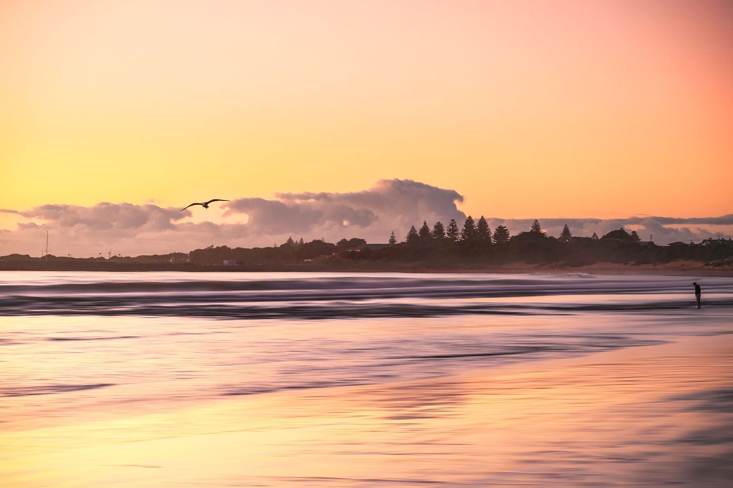 Apollo Bay