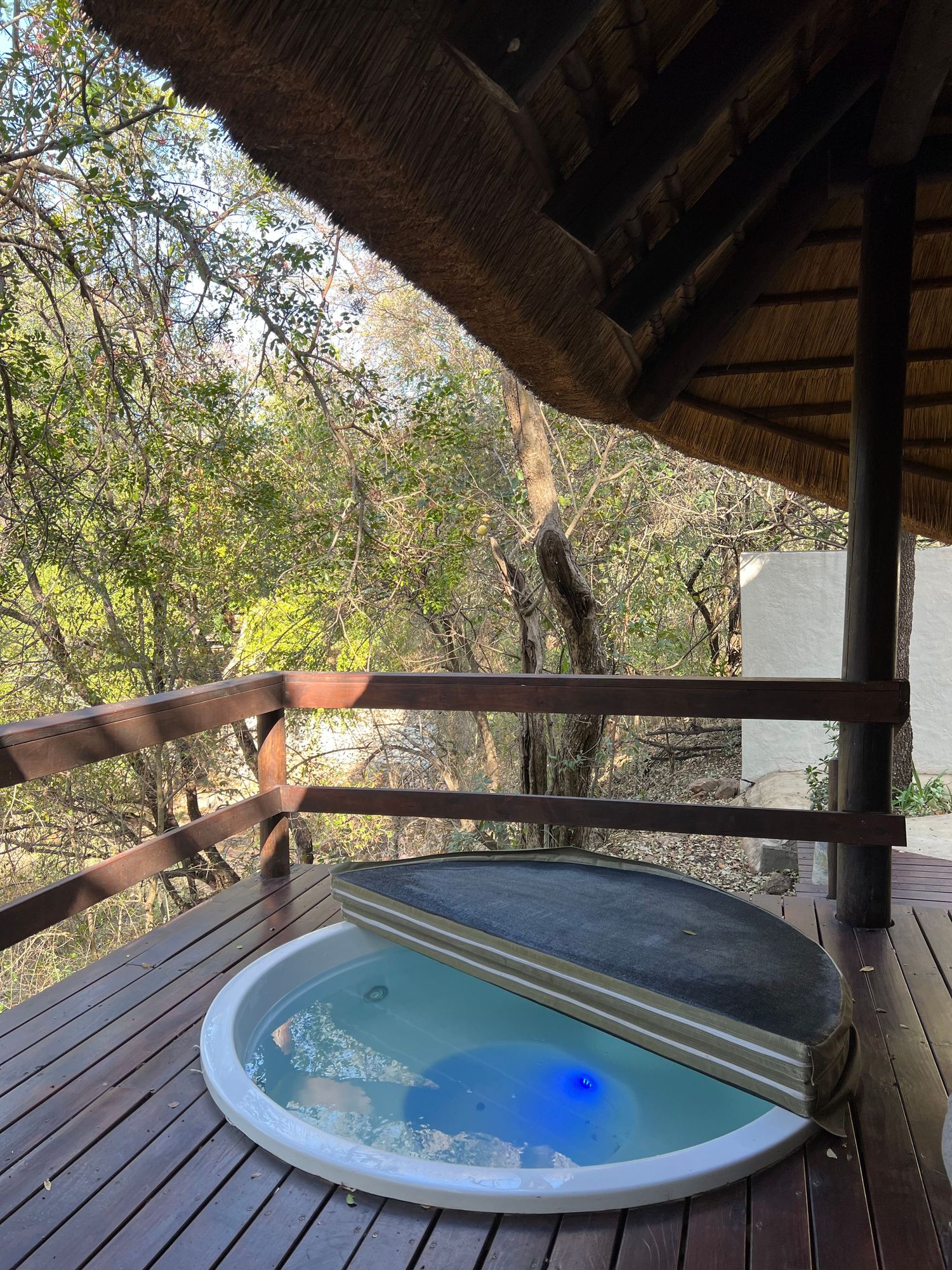 Private plunge pool on wooden deck under thatched roof overlooking natural bushveld landscape.