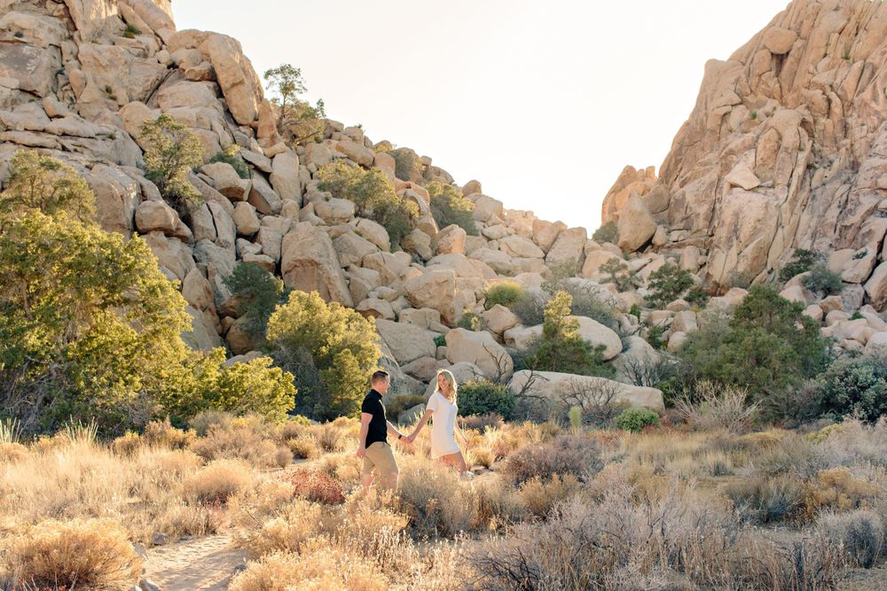 joshua tree national park engagement