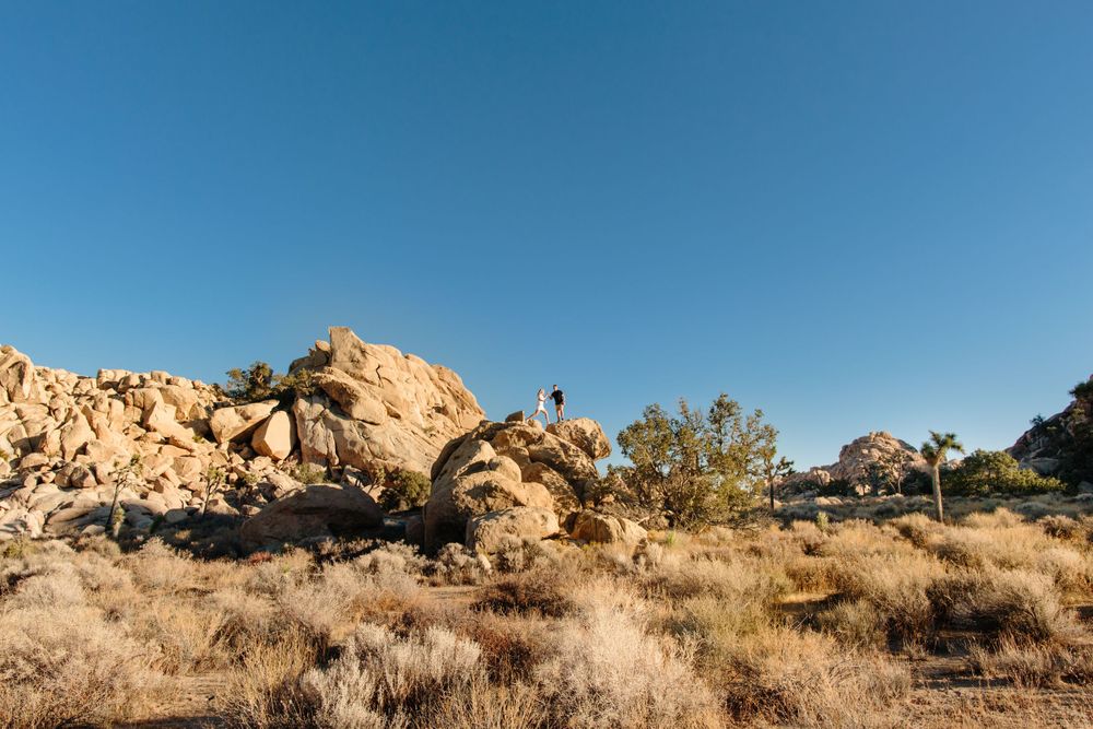 joshua tree national park engagement