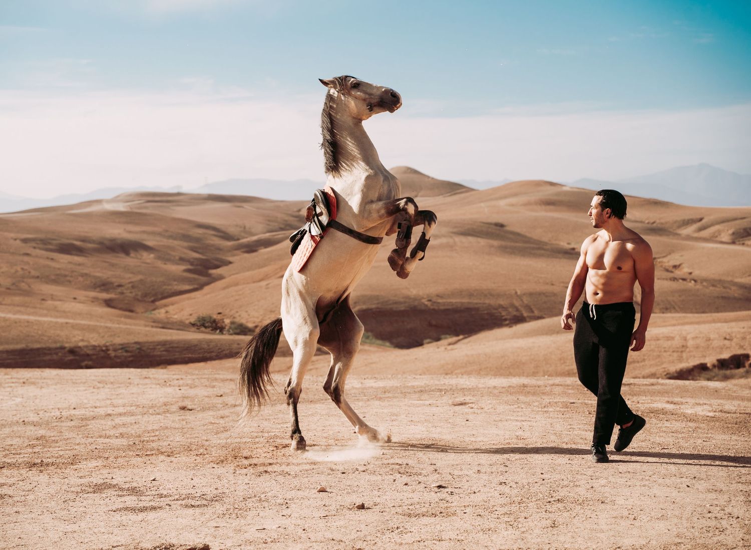 A horse rears up dramatically against a desert landscape with sand dunes and blue sky.