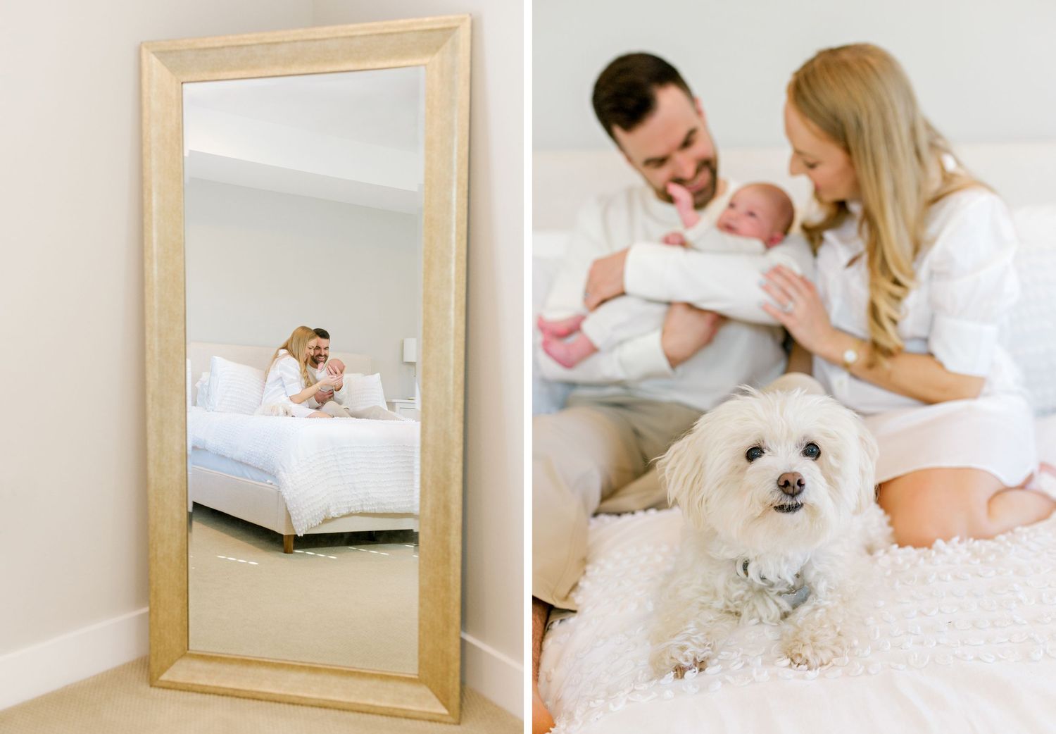 Mirror reflection captures family moment with newborn and white dog on bed in bright bedroom.