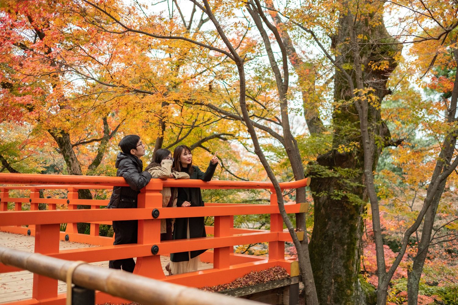 Two women photographing autumn foliage on a vibrant red bridge surrounded by colorful fall trees in Japan.