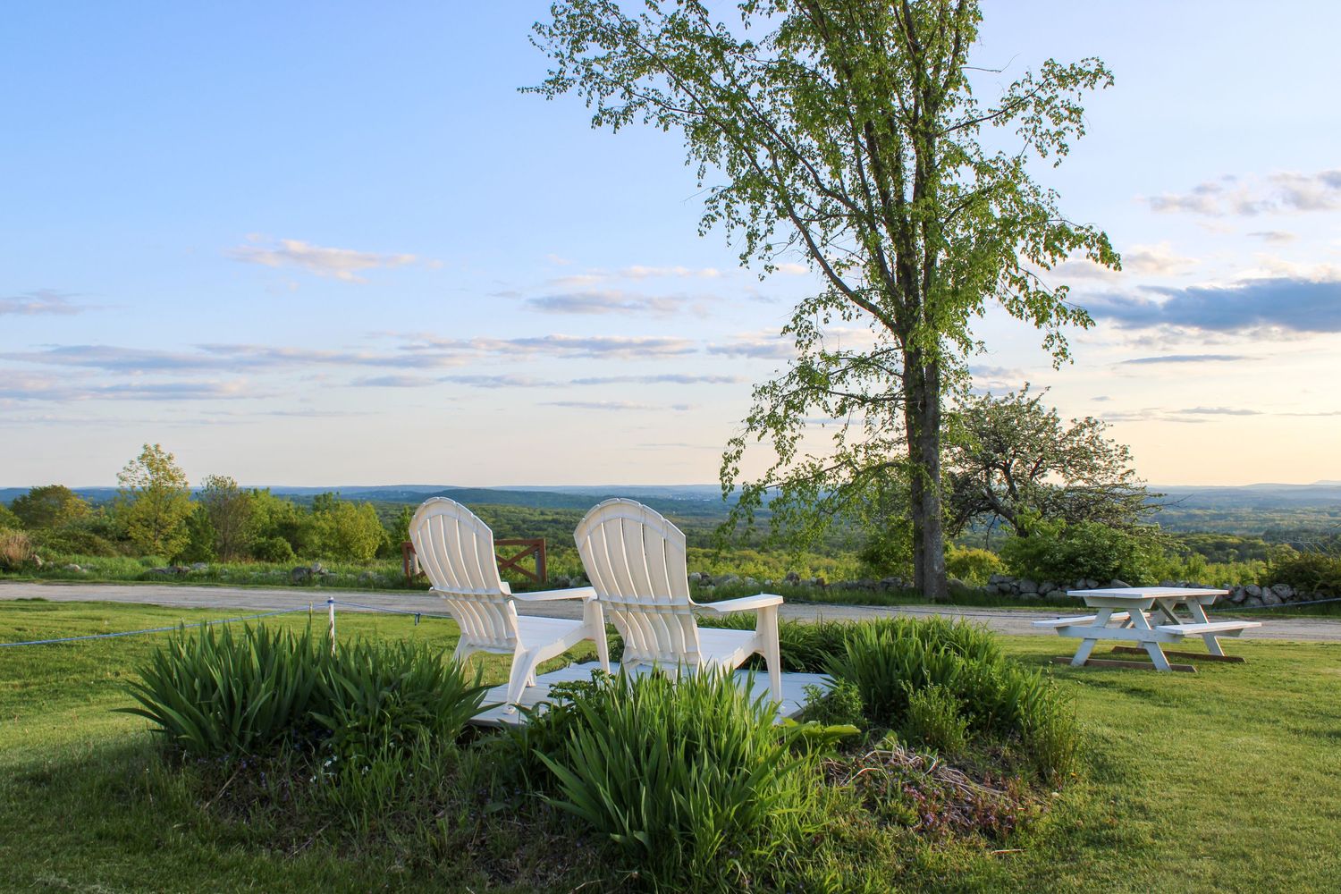 vista views