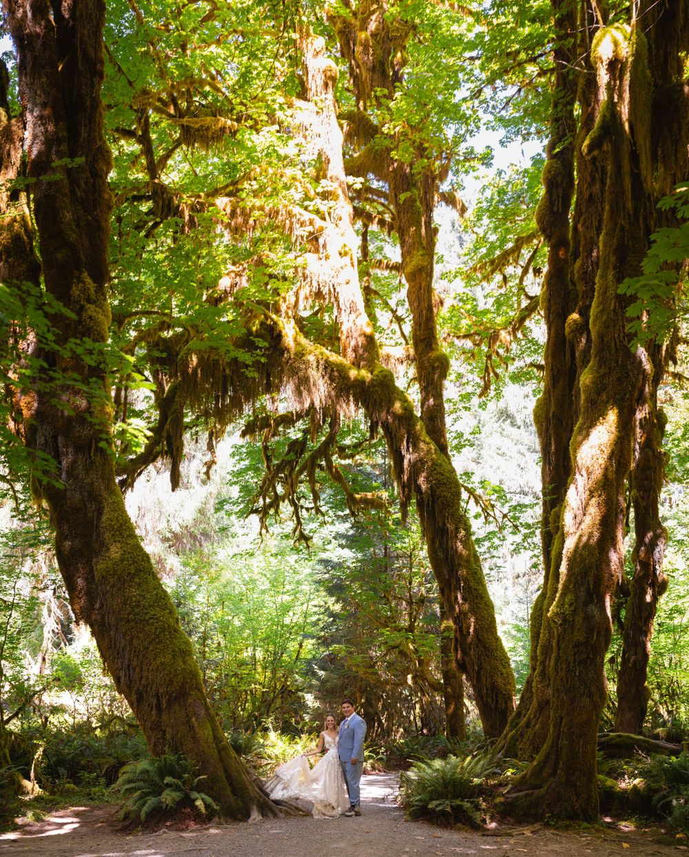 Couple shares a kiss on a forest path surrounded by towering moss-covered trees in an enchanted woodland setting.