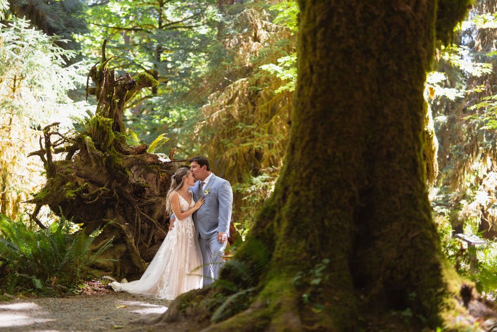 Bride and groom kiss framed by a large moss-covered tree trunk in a lush forest.
