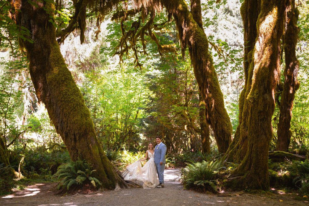 Couple shares a romantic kiss surrounded by massive moss-covered trees in a forest.