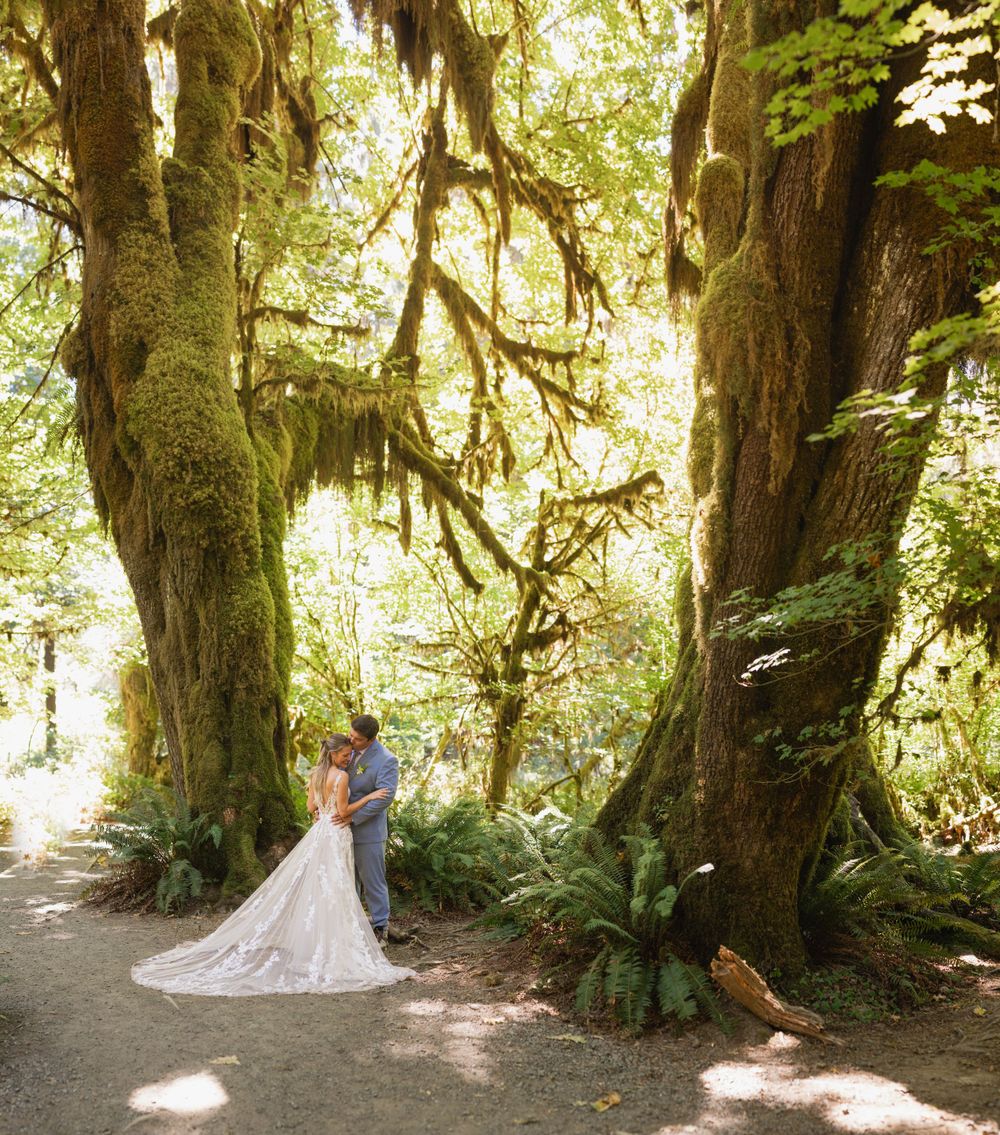 Bride and groom embrace between two towering moss-covered trees in a sunlit forest.