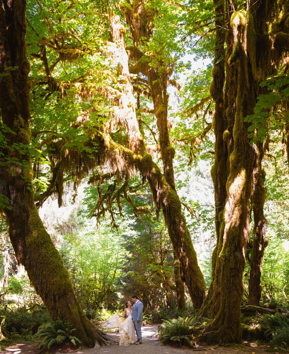 Newlyweds share a romantic moment on a trail framed by giant moss-covered trees in a verdant forest.