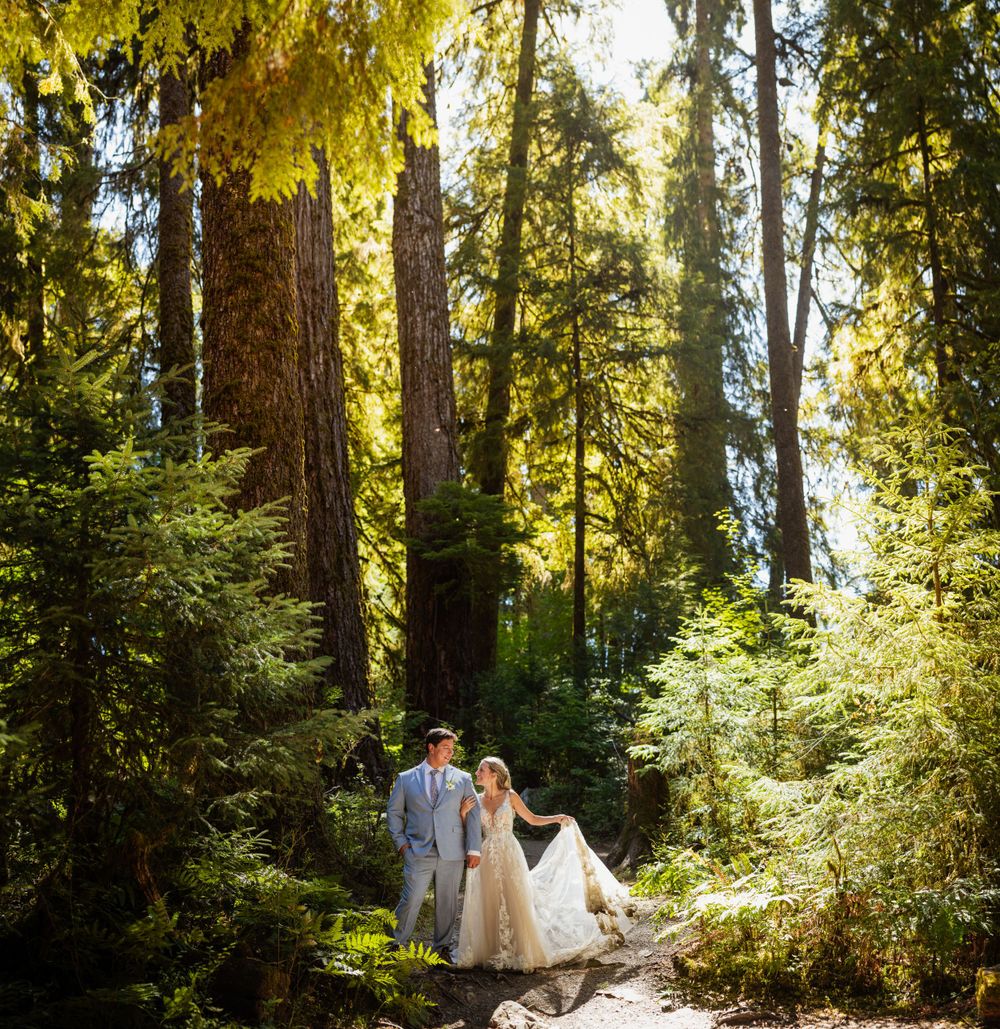 Wedding couple walks hand-in-hand through a sunlit old-growth forest with towering redwood trees.