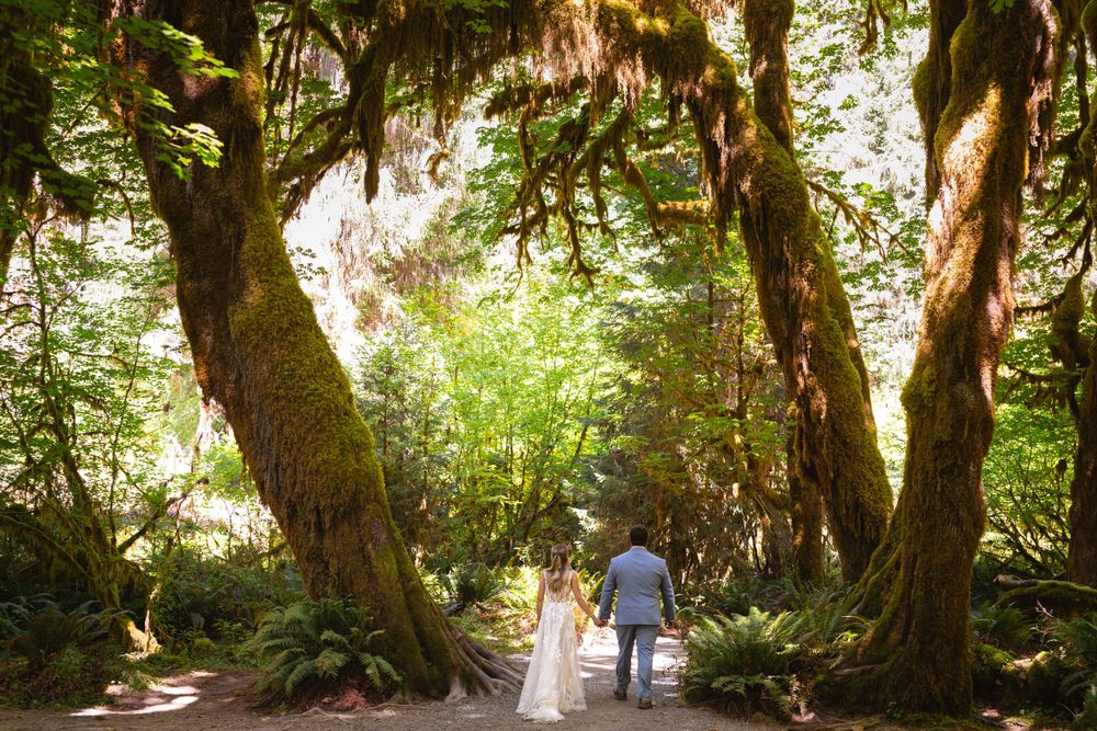 Bride and groom walk hand in hand beneath moss-draped trees in an enchanted forest.