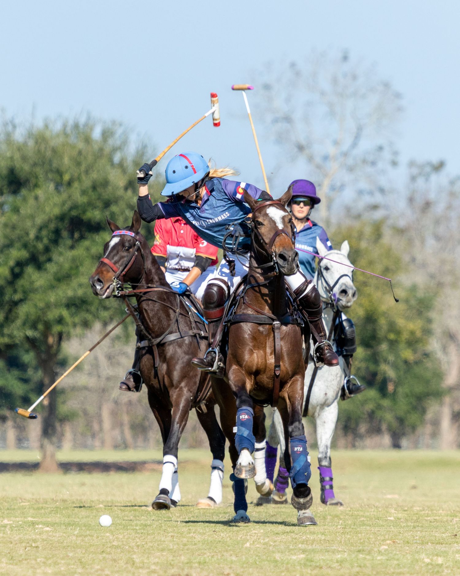 Polo