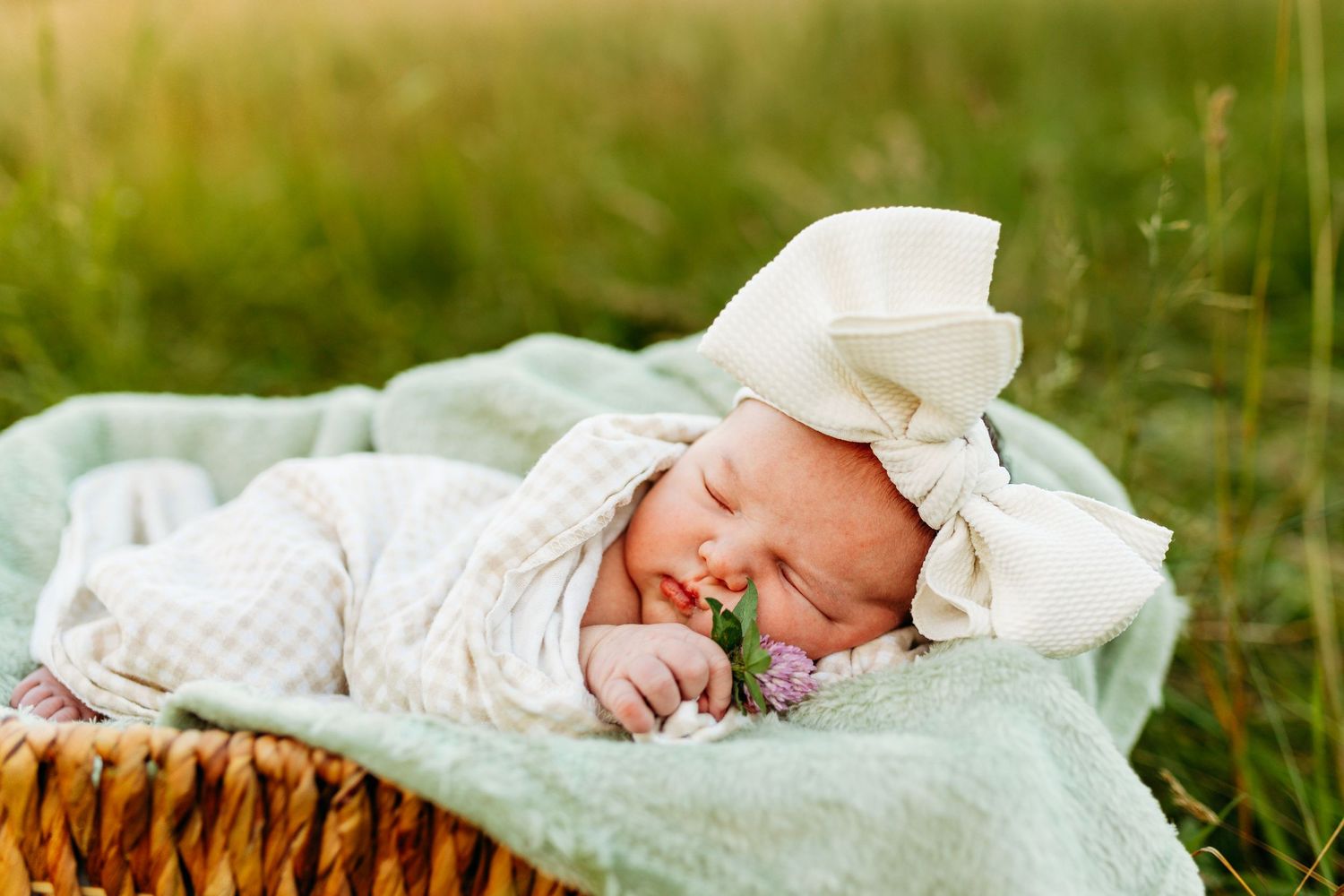 Newborn baby girl in white bow headband sleeping in wicker basket holding a small flower.