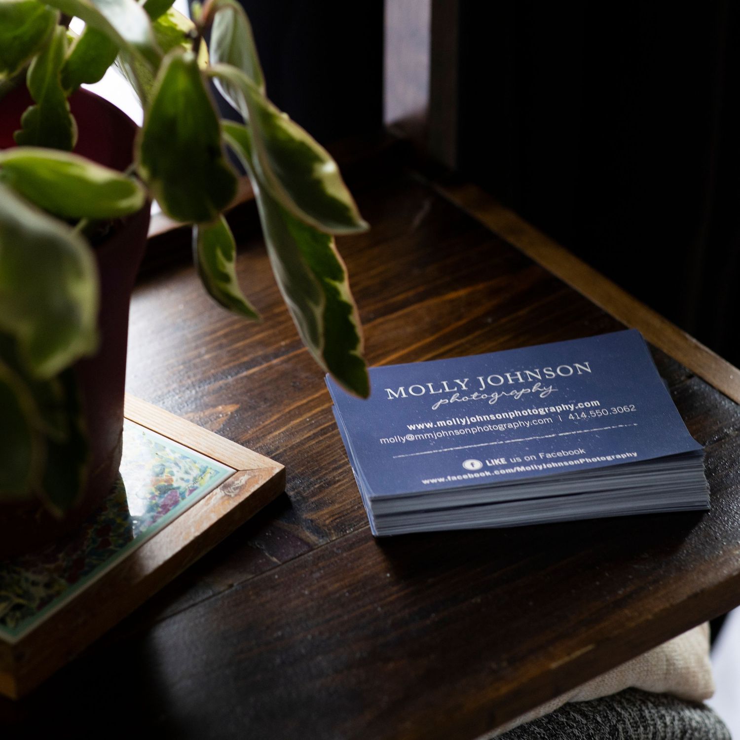 business cards on sunny shelf by a plant