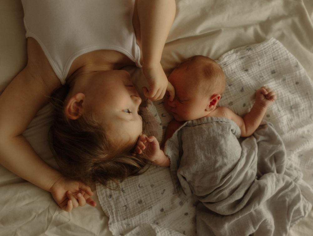 family photographer in flintshire