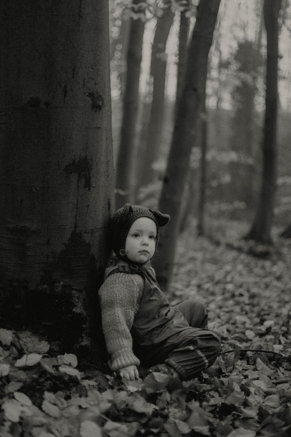 flintshire family photographer