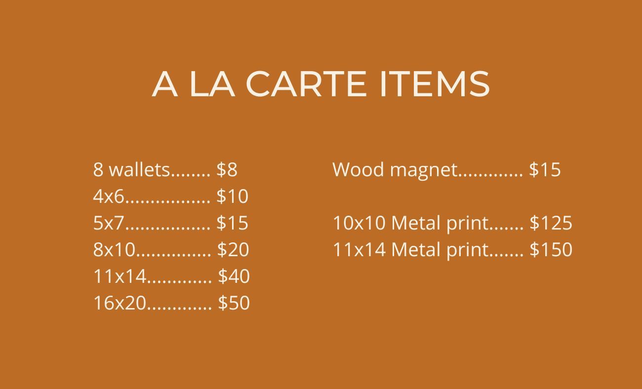 A la carte photography pricing menu displayed on orange background.