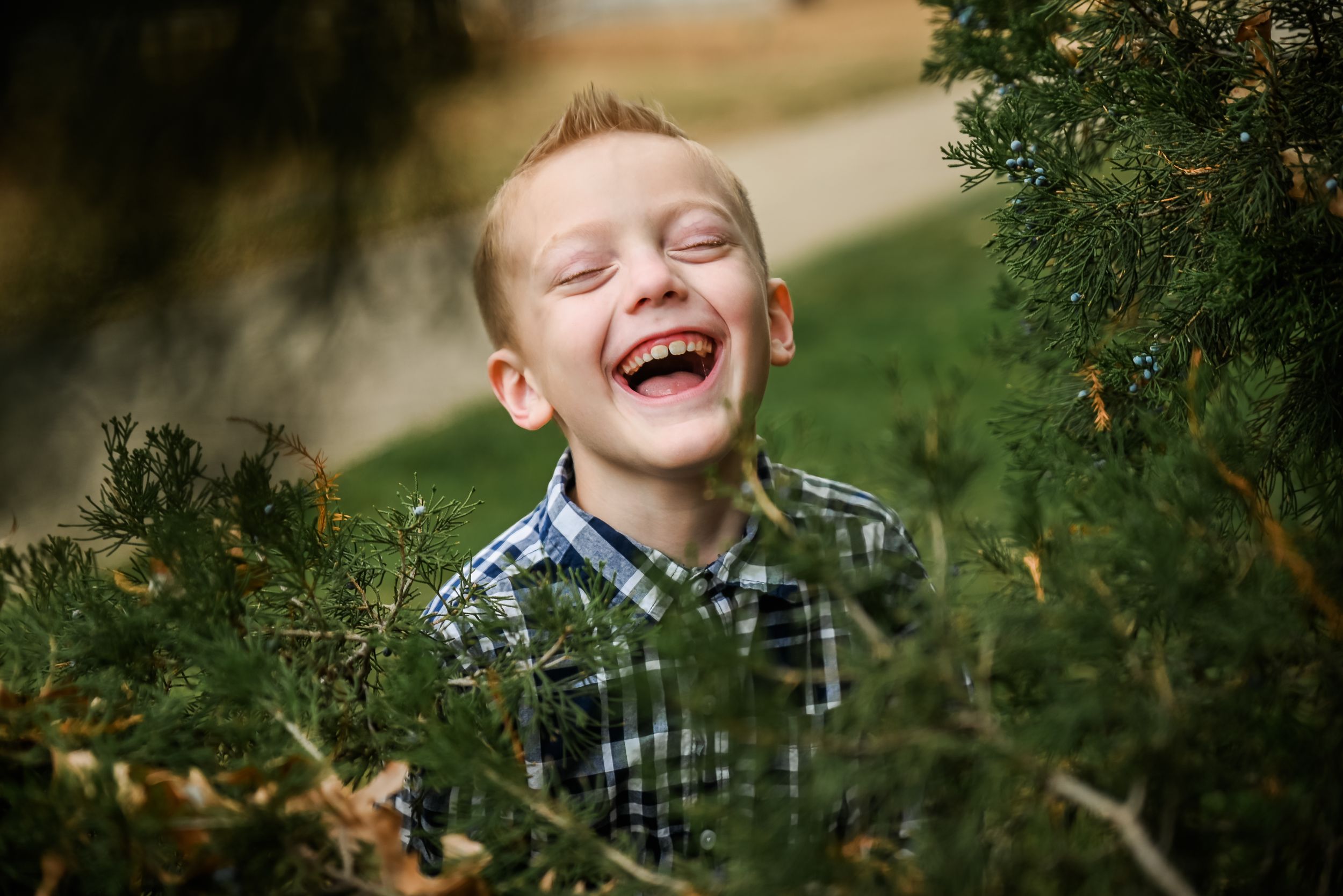 a portrait of a child laughing from behind a pine tree