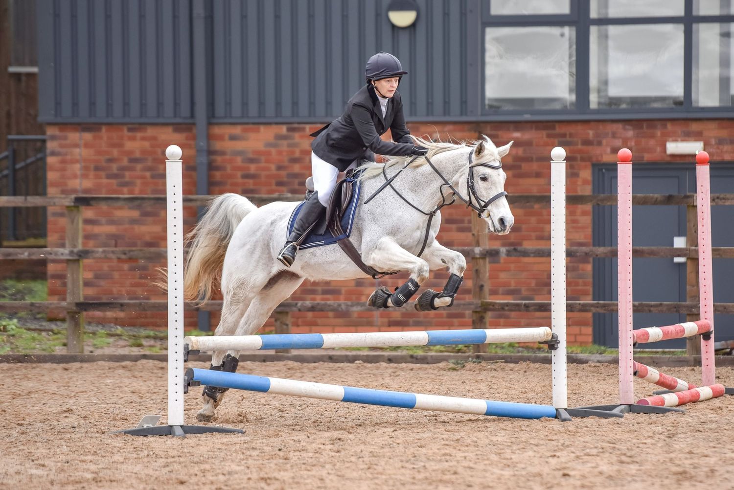 Equine Showjumping