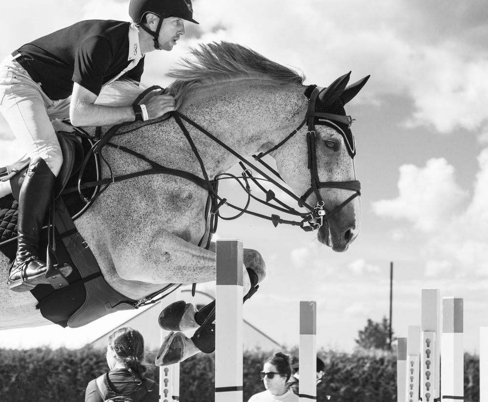 Series of show jumping horses clearing white obstacles against cloudy sky.