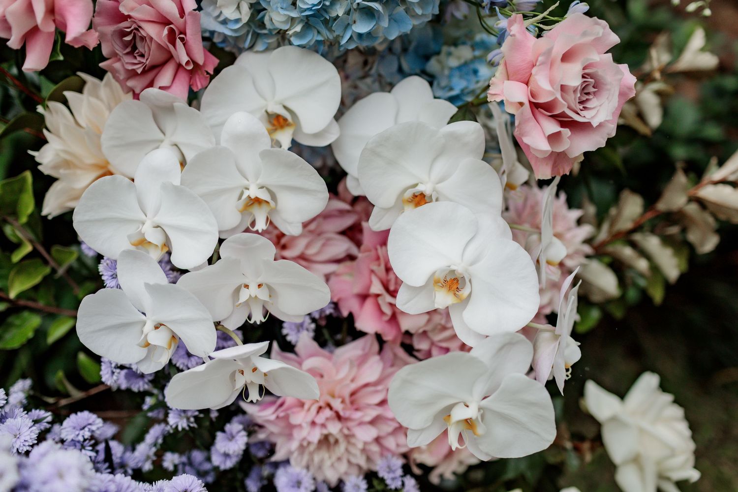Stunning arrangement of white orchids, pink roses, and purple flowers in full bloom.