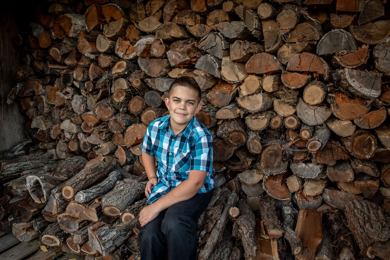 A rustic woodpile setting with stacked logs creating a natural backdrop.
