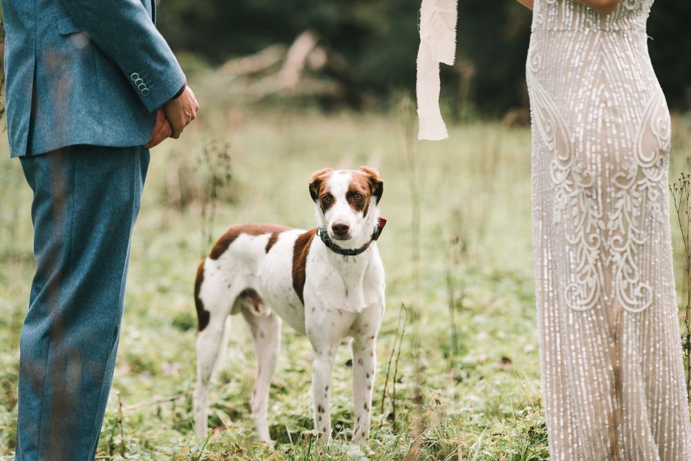 Trouwfoto's met hond
