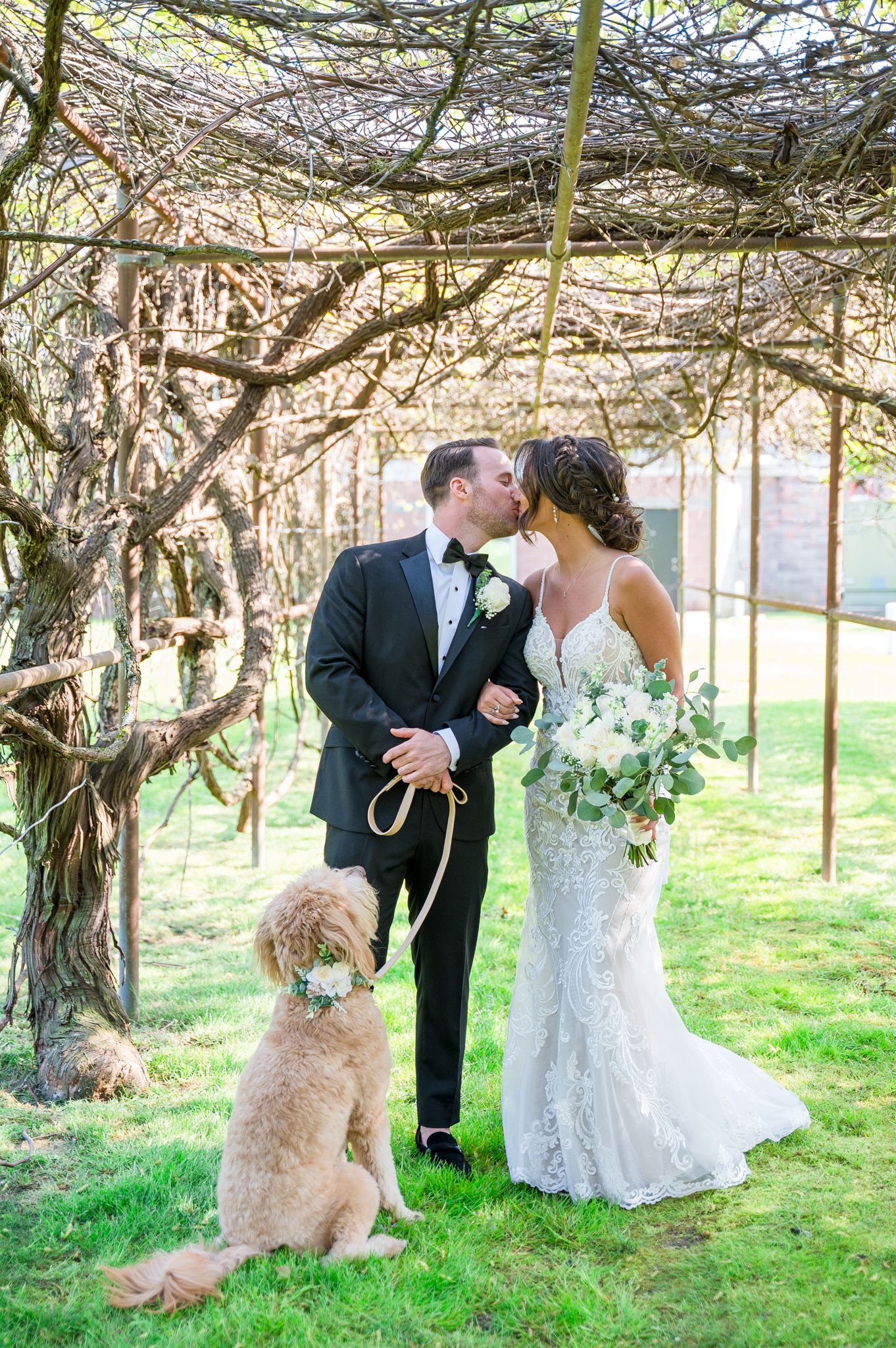 Couple kissing while their Labrador watches them.