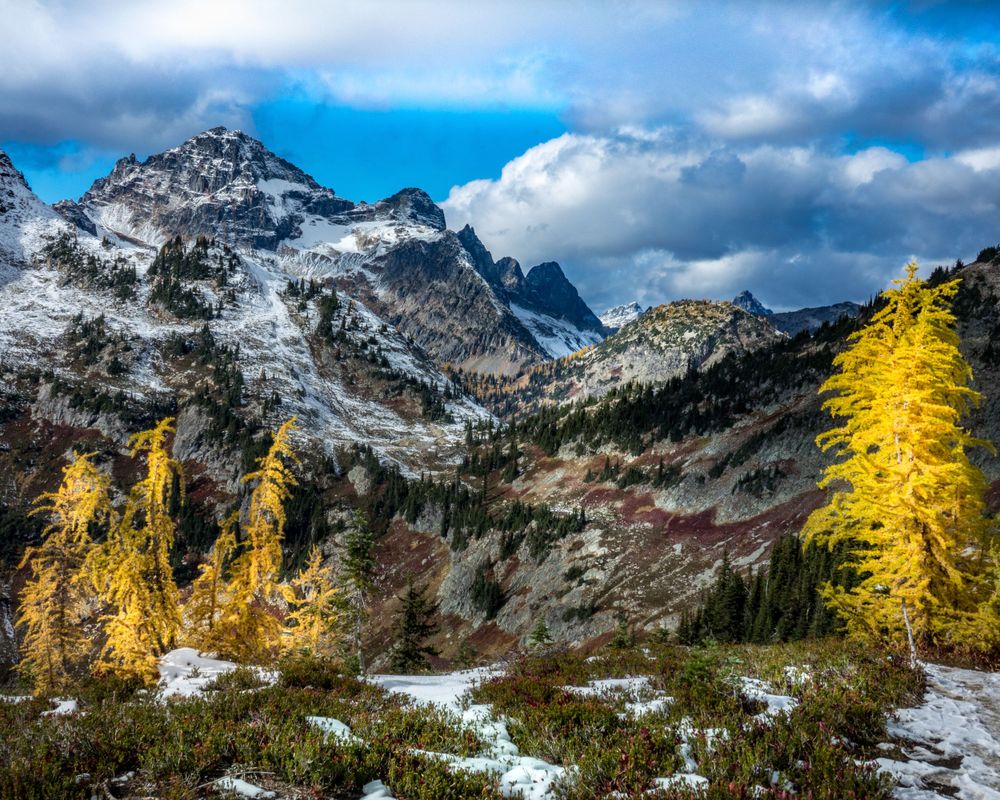Black Peak from Maple Pass Trail